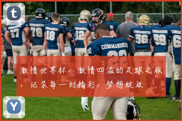 激情世界杯，激情四溢的足球之旅，记录每一刻精彩，梦想绽放